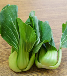 Pak Choi Shanghai - Brassica rapa chinensis - semena pak choi - 200 ks