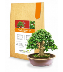 Symbivit Bonsai - mykorhiza pro bonsaje - 150 g