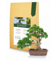 Ectovit Bonsai - mykorhiza pro bonsaje - 100 g