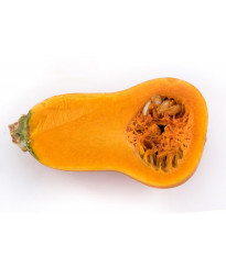 Dýně máslová Honeynut - Cucurbita moschata - semena dýně - 6 ks