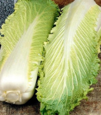 Bio pekingské zelí Granat - Brassica rapa pekinensis - bio semena zelí - 100 ks