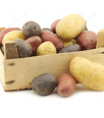 Sadbové brambory - 4 druhy - Solanum tuberosum - 12 ks