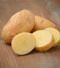 BIO Sadbové brambory Belana - Solanum tuberosum - bio brambory - 10 ks