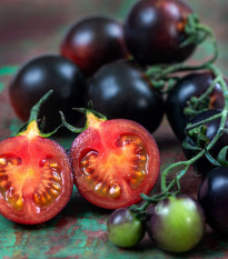 Rajče tyčkové černé Blackball - Solanum lycopersicum - semena rajčete - 20 ks