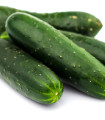 Salátová okurka Delikates - Cucumis sativus - semena - 20 ks