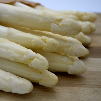 Chřest Thielim - Asparagus officinalis - prostokořenné sazenice chřestu - 1 ks