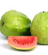 Guave - Psidium guajava - semena guave - 4 ks