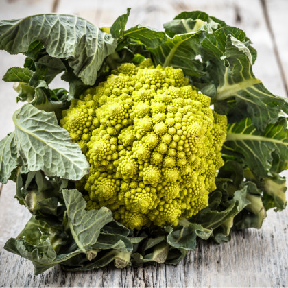 Květák Veronica F1 - Brassica oleracea L. convar. botrys - semena květáku - 10 ks